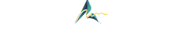 Modern Special